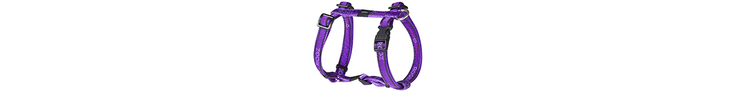 dog harness