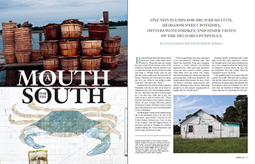layout: a mouth for the south